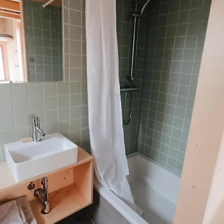 Tiny House V Ohrade *