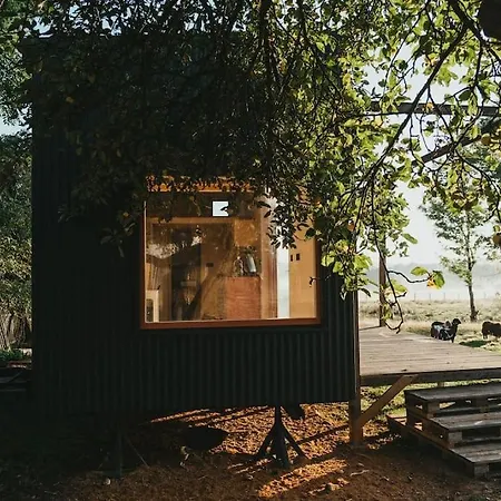 Tiny House V Ohrade *