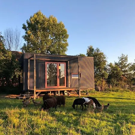Tiny House V Ohrade *