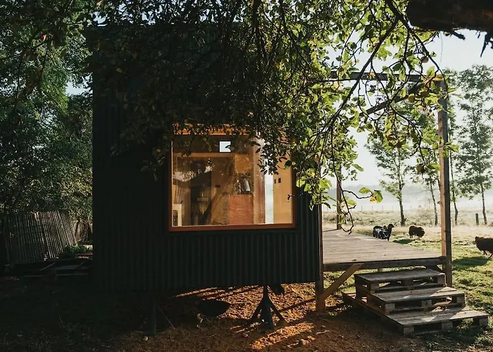Tiny House V Ohrade *
