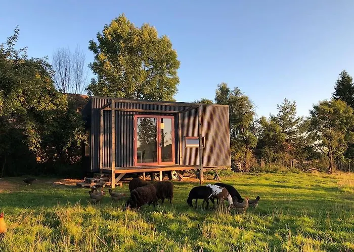 Tiny House V Ohrade *